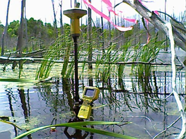 A GPS receiver on a survey rod in a flooded wetland, flagged with pink tape